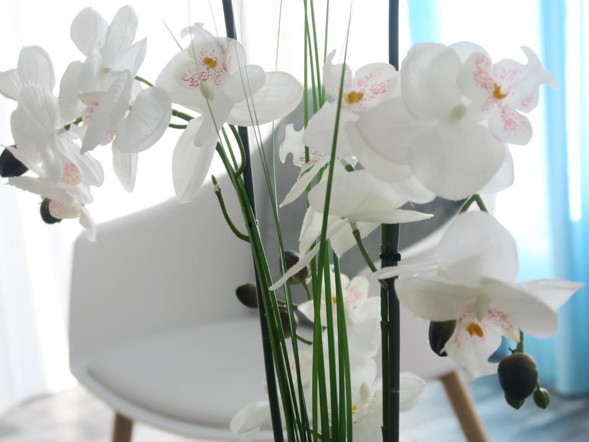 Manganao Loft Bord De Mer Belle-Allée 外观 照片